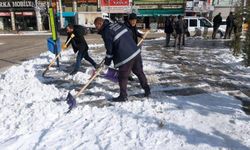 Van'da karla mücadele devam ediyor