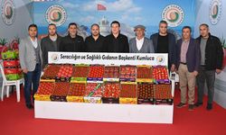 Türkiye'nin İlk ve Tek Domates İhtisas Fuarı Kumluca'da Büyük Beğeni Topladı