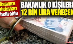 Bakanlıktan ailelere 12 bin TL yardım verilecek.. nereden başvuru yapılacak