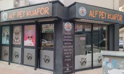 Batı Antalya’nın İlk Pet Kuaförü “ALF PET KUAFÖR” Hizmete Açıldı