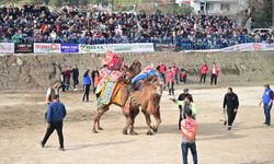 KUMLUCA’DA GELENEKSEL  DEVE GÖSTERİSİ NEFES KESTİ