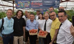 FoodFest Gastronomi Festivali  Kumluca Domatesiyle Başladı