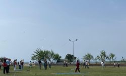 AİLE YILI UÇURTMA ŞENLİĞİ VE BOYAMA ETKİNLİĞİ