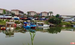 Yapraklı Deresi’nde  Altyapı ve Barınak Sorunları  Çözüm Bekliyor