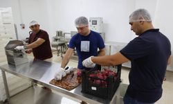 ELDE KALAN ÜRÜNLER KURUTMA  TESİSİNDE DEĞER KAZANIYOR
