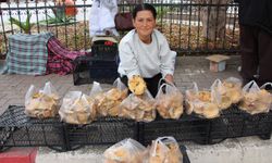 Mantar Geçim Kaynakları Oldu