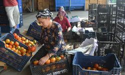 2026 Yılı İşçi Yevmiyesi 1.800 Tl Olarak Belirlendi