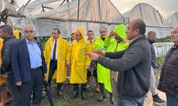 Afet Bölgesinde Tarım Zirvesi