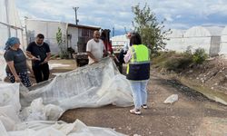 BÜYÜKŞEHİR, AFETZEDELERE SERA NAYLONU DESTEĞİNDE BULUNACAK