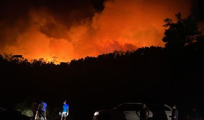 Antalya'nın Kemer ilçesinde orman yangını çıktı