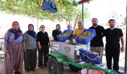 Pekmez Üretimine Büyükşehir Dokunuşu