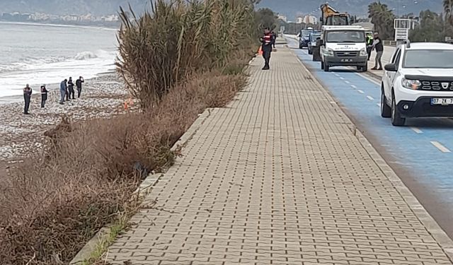 Finike Sahilinde İnsan iskeleti Bulundu