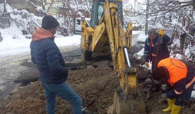 Dondurucu havada hummalı çalışma