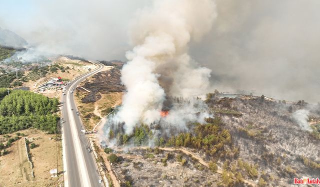 Kumluca Yangınının Bilançosu: 50 Hektar Alan Ve 15 Ev Yandı