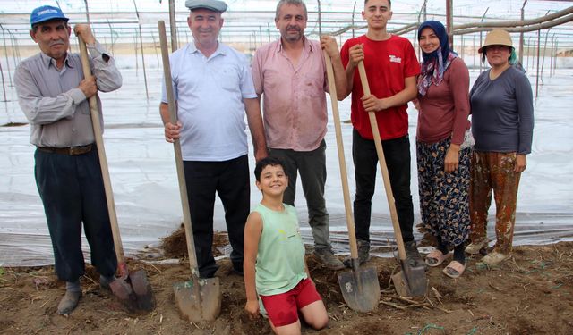 Seralarda Solarizasyon Dönemi