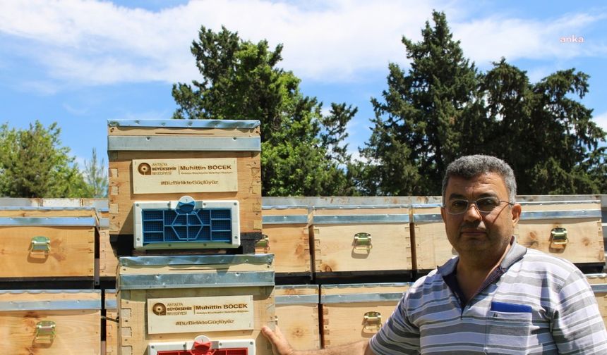 Antalya Büyükşehir Belediyesi’nin arı üreticilerine kovan desteği sürüyor
