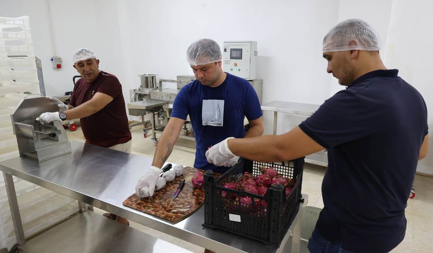 ELDE KALAN ÜRÜNLER KURUTMA  TESİSİNDE DEĞER KAZANIYOR