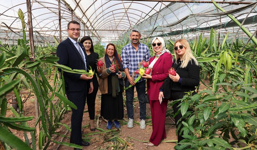 Vergi Müfettişlerinden Meyve Üretim Serasına Ziyaret