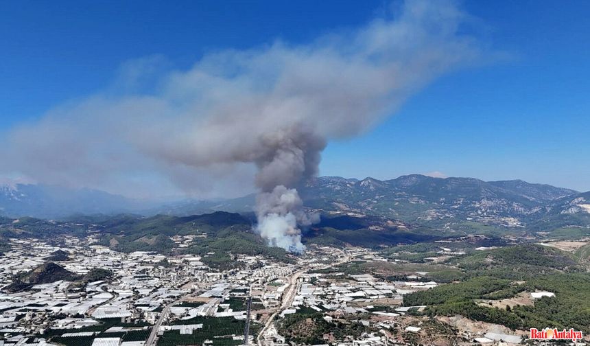 KUMLUCA’DA ORMAN YANGINI ŞÜPHELİSİ TUTUKLANDI